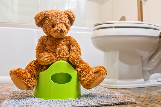 Potty Training 101: Tips for a Smooth Transition from Diapers to the Potty